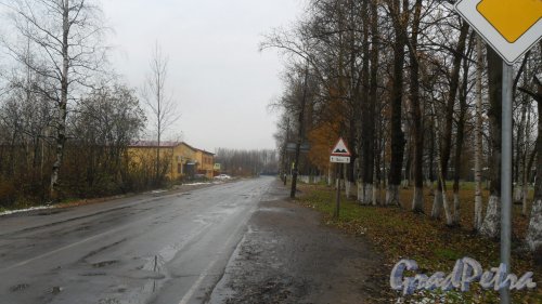 Всеволожский район, поселок имени Морозова, улица Скворцова.