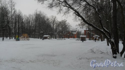 Всеволожский район, поселок имени Морозова, площадь Культуры. Сквер перед дворцом культуры имени Чекалова. Фото 14 ноября 2016 года.