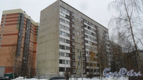 Всеволожск, улица Василеозерная, дом 7. 10-этажный жилой дом 1996 года постройки. 2 парадные, 80 квартир. Фото 17 ноября 2016 года.