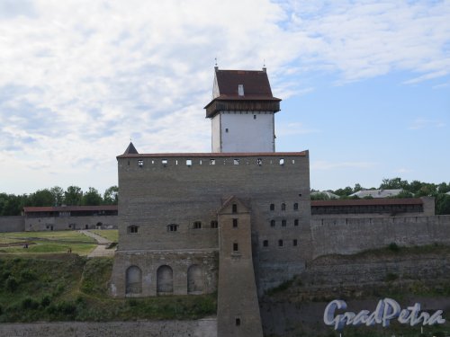 Ивангородская Крепость, Вид Нарвского замка на Эстонской стороне со стен Крепости.  фото июль 2015 г.