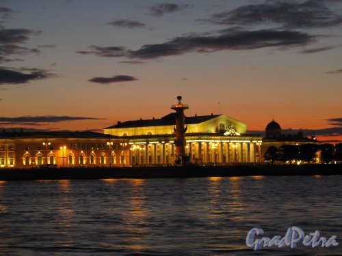 Университетская наб. Стрелка Васильевского острова в ночном освещении. Фото сентябрь 2011 г. 