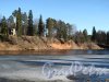 Река Оредеж. (Сиверский), Берега реки на территории пос. Сиверский. Фото март 2014 г.