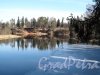 Река Оредеж. (Сиверский), Берега реки на территории пос. Сиверский. Фото март 2014 г.