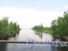 река Морье. Берега реки у впадения в Ладожское озеро. Фото 25 мая 2014 года.