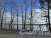 Горовалдайское озеро (Шепелевское) озеро. Вид с трассы 41А-007. Фото 9 апреля 2016 года.