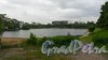 Ольгинский пруд. Вид водоема от Светлановского проспекта. Фото 20 июня 2017 года.