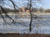 Река Большая Невка. Вид на Большую Невку и д. 14 по Примовскому пр. с наб. Каменного о-ва. фото март 2016 г.