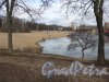 Ольгинский пруд. Вид пруда с ул. Жака Дюкло. фото апрель 2016 г.
