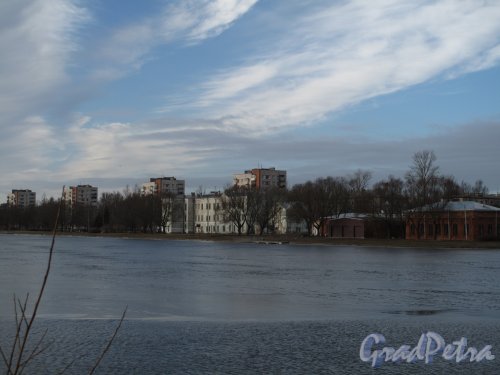 Колпино Ижорский пруд. Со стороны бульв. Свободы. Фото март 2014 г.
