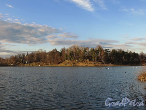 Вид на восточный берег Среднего Суздальского озера. Фото апрель 2014 г.