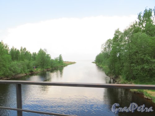 Устье реки Морье у впадения в Ладожское озеро. Фото 25 мая 2014 года.