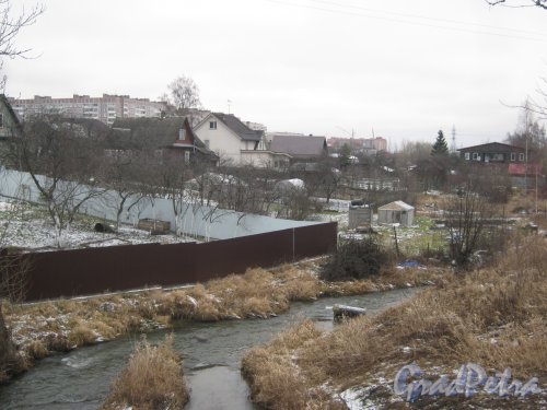 Красное Село (Горелово), р. Дудергофка. Общий вид с Аннинского шоссе. Фото 4 января 2014 г.