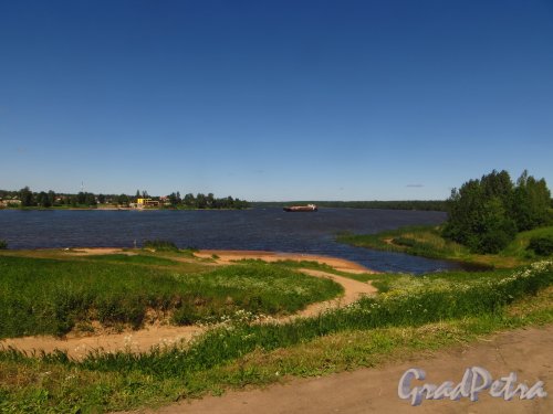 Ленинградская область, излучина реки Невы в районе устья реки Мойки и поселка Пески. Фото 15 июня 2014 года.