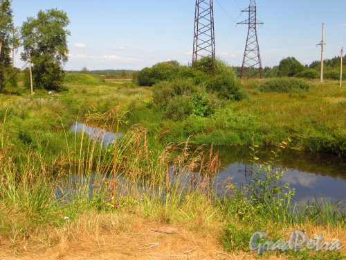 Река Орлинка в районе посёлка Дружная Горка. Фото 2 августа 2014 года.