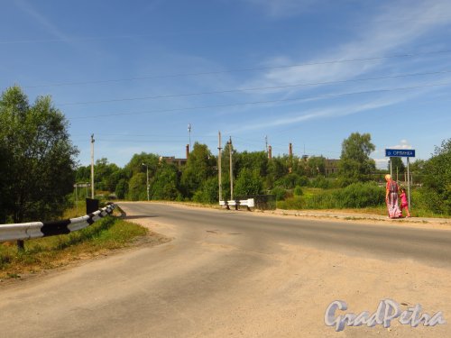 Автомобильный мост через реку Орлинка на территории поселка Дружная Горка. Фото 2 августа 2014 года.