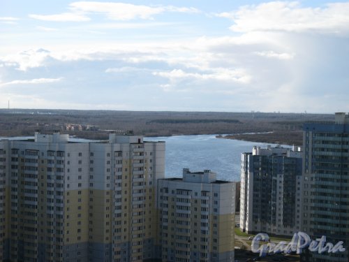 Лахтинский разлив. Вид с крыши дома 2 по Лыжному пер. Фото 15 апреля 2014 г.