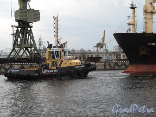 Морской канал. Вид с Путиловской набережной. Фото май 2014 г.