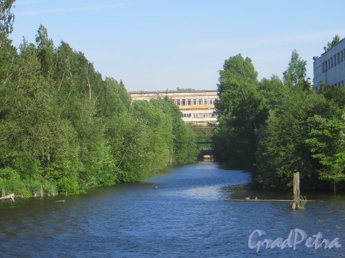 Вид на незасыпанный участок реки Ольховка и заброшенный железнодорожный мост с набережной реки Екатеринговки. Фото 3 июля 2015 года.