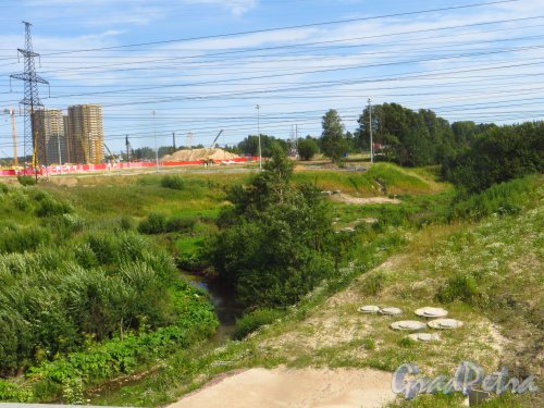 Муринский ручей в районе строительство жилого комплекса «Новая Охта» около Кольцевой автодороги. Фото 6 августа 2015 года.