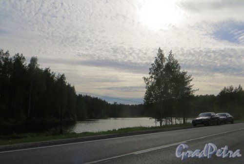 Вид на озеро Каменка со стороны шоссе Дорогажизни. Фото 6 июня 2015 года.