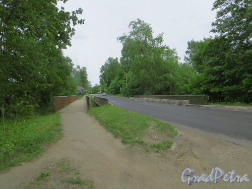 Лен. область, Ломоносовский р-н, пос. Лебяжий. Автомобильный мост через реку Лебяжья в створе Приморской улицы. Фото 10 июня 2015 года.