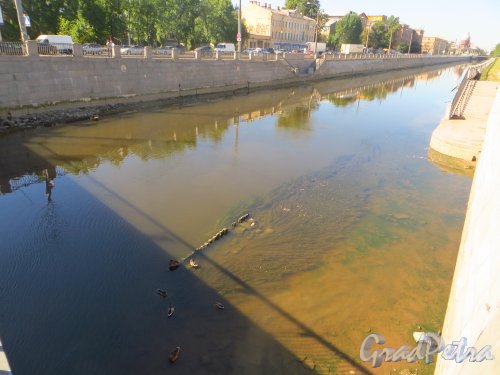 Опоры старой набережной Обводный канал у Ново-Калинкин моста. Фото 24 августа 2015 года.