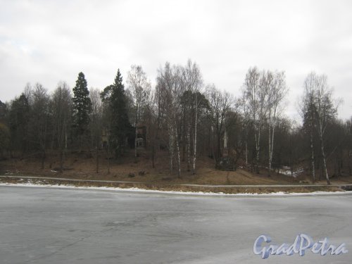 г. Павловск, река Славянка у парка Мариенталь. Фото 5 марта 2014 г.
