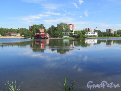 Ольгинский пруд, Общий вид. фото август 2015 г.