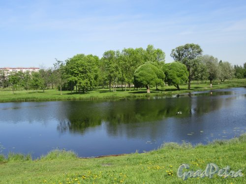 Муринский ручей. Изгиб ручья на территории Муринского парка. фото май 2018 г. 
