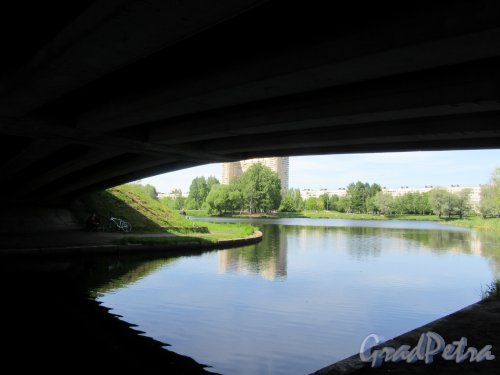 Муринский ручей. Вид ручья под Северным мостом. фото май 2018 г.