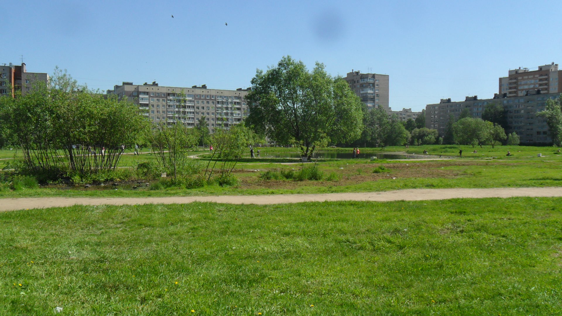 Тсж купчинская. Купчинский пруд. Купчинский сквер. Карпатский пруд Купчино. Волковский пруд Санкт-Петербург.