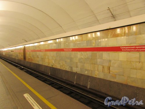 Станция метро «Гражданский проспект». Перрон платформы. Фото 19 февраля 2020 г.
