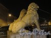 Львиный мостик. Фигура Льва. Ночное фото апрель 2015 г.