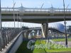 Яхтенный мост. Персечение Яхтенного моста и Западного Скоростного Диаметра. фото май 2018 г.