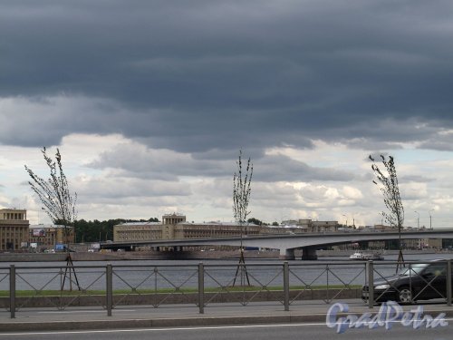 мост Александра Невского. Общий вид. Фото август 2011 г.