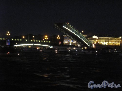 Троицкий мост. Вид разводного пролета во время подъема. фото июль 2014 г.