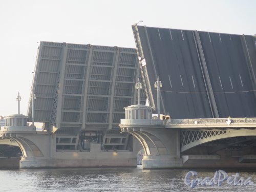 Благовещенский мост. Разводная часть в период проводки «Авроры» на ремонт. Фото 21 сентября 2014 г.
