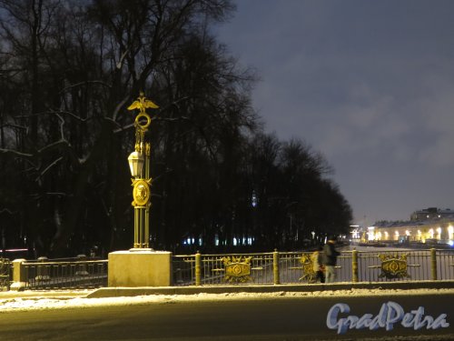 Пантелеймоновский мост и Летний сад зимой в вечернем освещении. фото январь 2015 г.