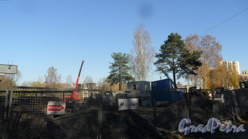 Поклонногорский путепровод, вид строительной площадки в сторону Выборгского района. Фото 19 октября 2016 года.