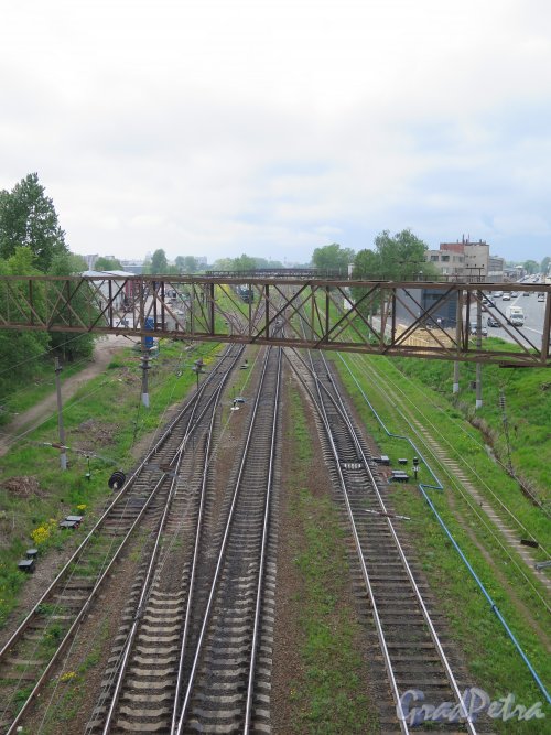 Кушелевский путепровод. Вид с моста на Всеволжскую линию ЖД. фото май 2015 г.