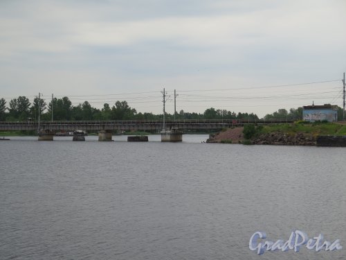 Железнодорожный мост через Защитную бухту в Выборге. фото фото июнь 2015 г.
