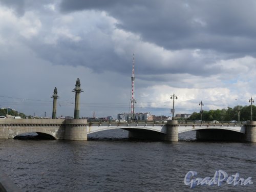 Ушаковский мост. Вид средней части моста с Приморского проспекта. Фото август 2017 г.