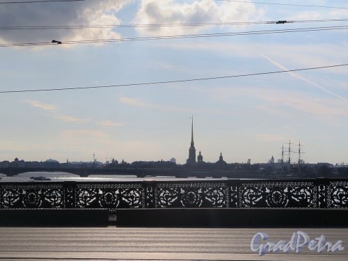 Литейный мост. Решетка моста на фоне Петропавловской крепости. фото апрель 2018 г.