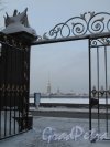 Дворцовая наб., д. 6. Мраморный дворец. Вид на Неву и Петропавловскую крепость через Ворота ограды Мраморного дворца зимой. Фото январь 2011 г.