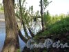 наб. Обводного канала в районе Предтеченского моста. Фото май 2011 г.