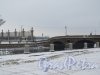 Наб. реки Фонтанки. Летний сад и Прачешный мост от д. 2 зимой. фото февраль 2016 г.