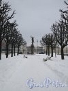Петровская наб. Вид бульвара на набережной зимой. фото февраль 2018 г.