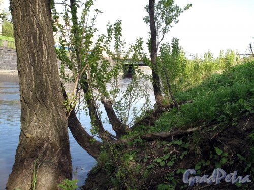 наб. Обводного канала в районе Предтеченского моста. Фото май 2011 г.