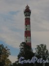 деревня Осиновец, Осиновецкий маяк. Общий вид. Фото 25 мая 2014 года.