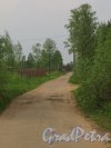 деревня Морье. Дорога от побережья Ладожского озера в сторону нового коттеджного поселка. Фото 25 мая 2014 года.